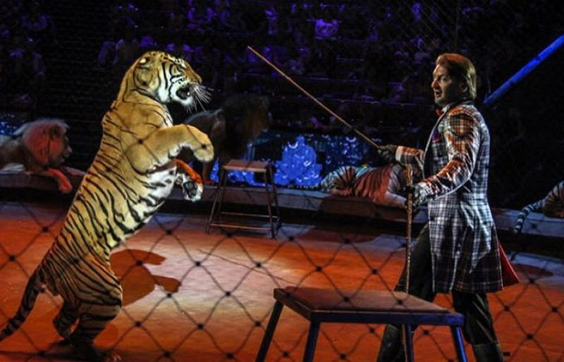 Программа детского фестиваля включает больше двухсот спектаклей и цирковых шоу