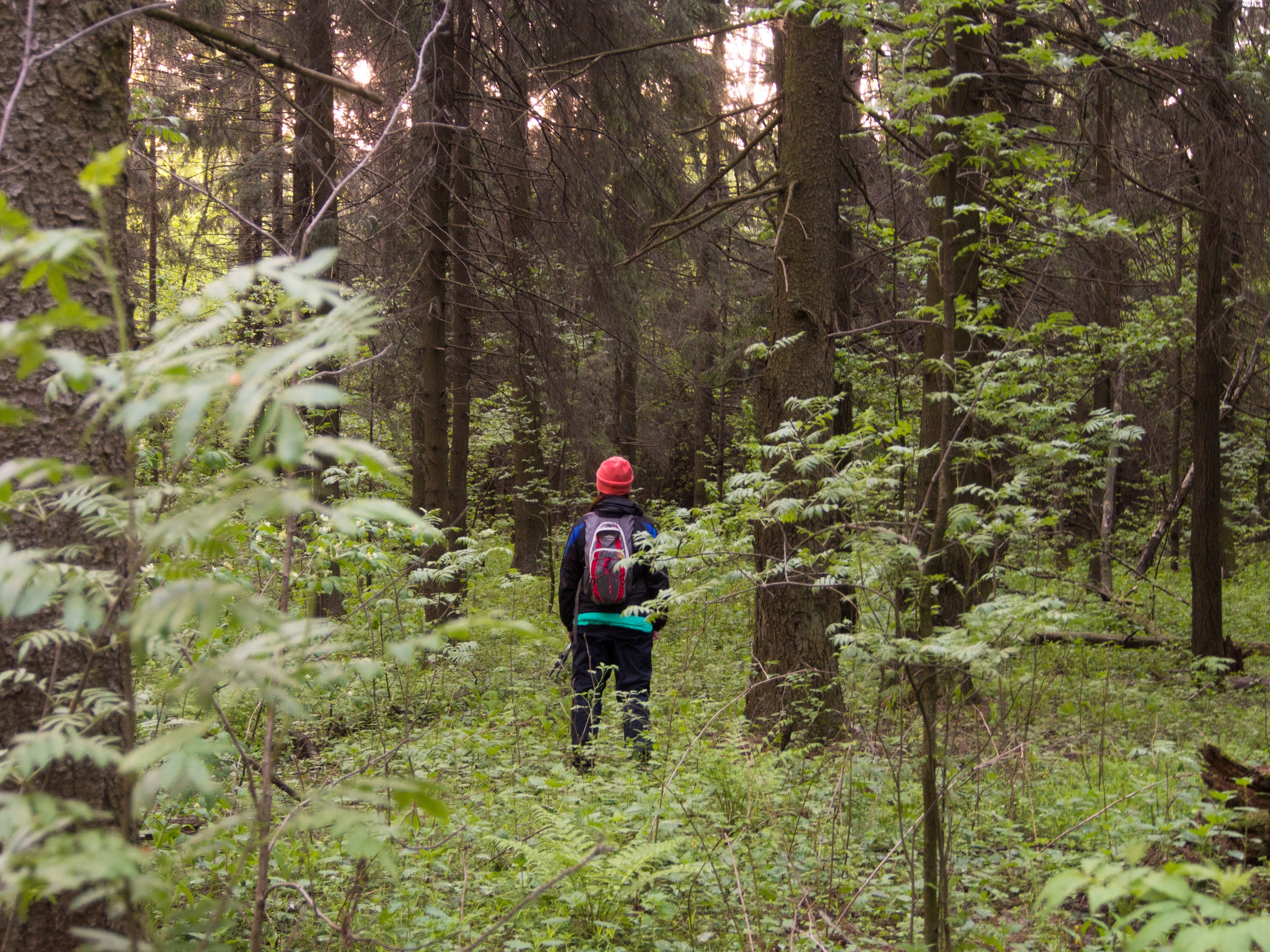 Добровольцы из отряда «Лиза Алерт» первыми сообщили в соцсетях о том, что мальчик найден погибшим