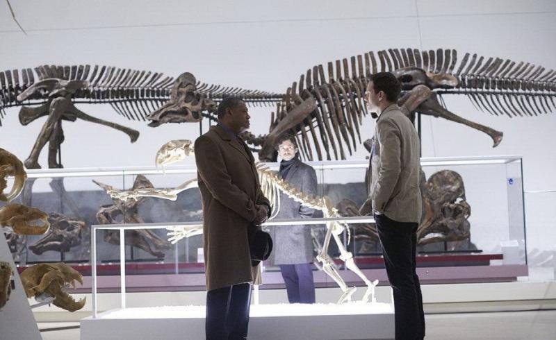 Крупный скелет динозавра обнаружили в Японии