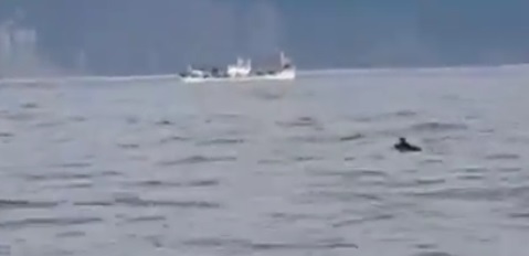 В соцсетях опубликовано видео, снятое с борта судна