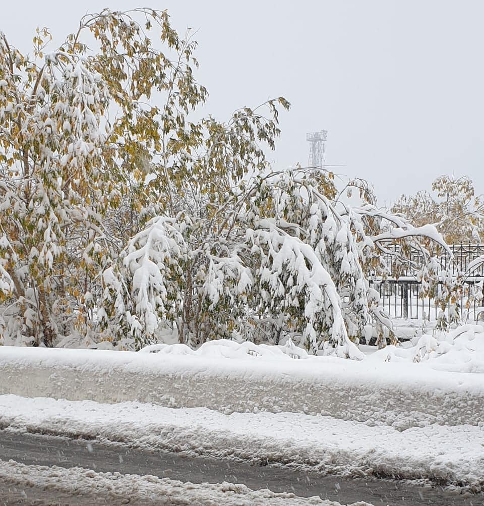 В Норильске выпал снег