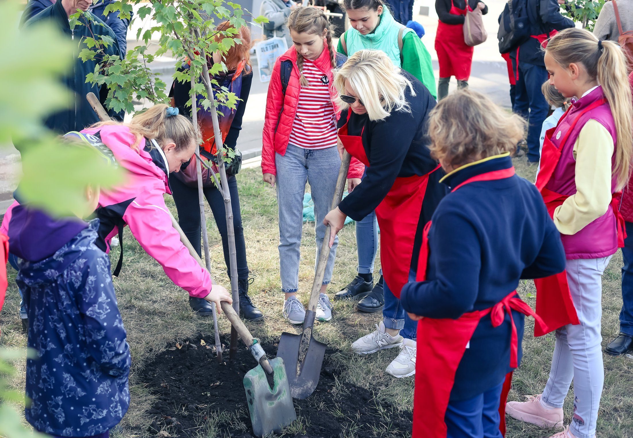 Актриса Яна Поплавская сажает клены