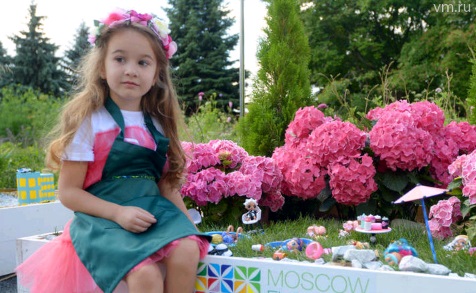 Более миллиона цветов распустилось прошедшим летом на ВДНХ