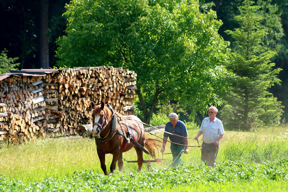 Ученые выяснили причины социального расслоения общества 7000 лет назад