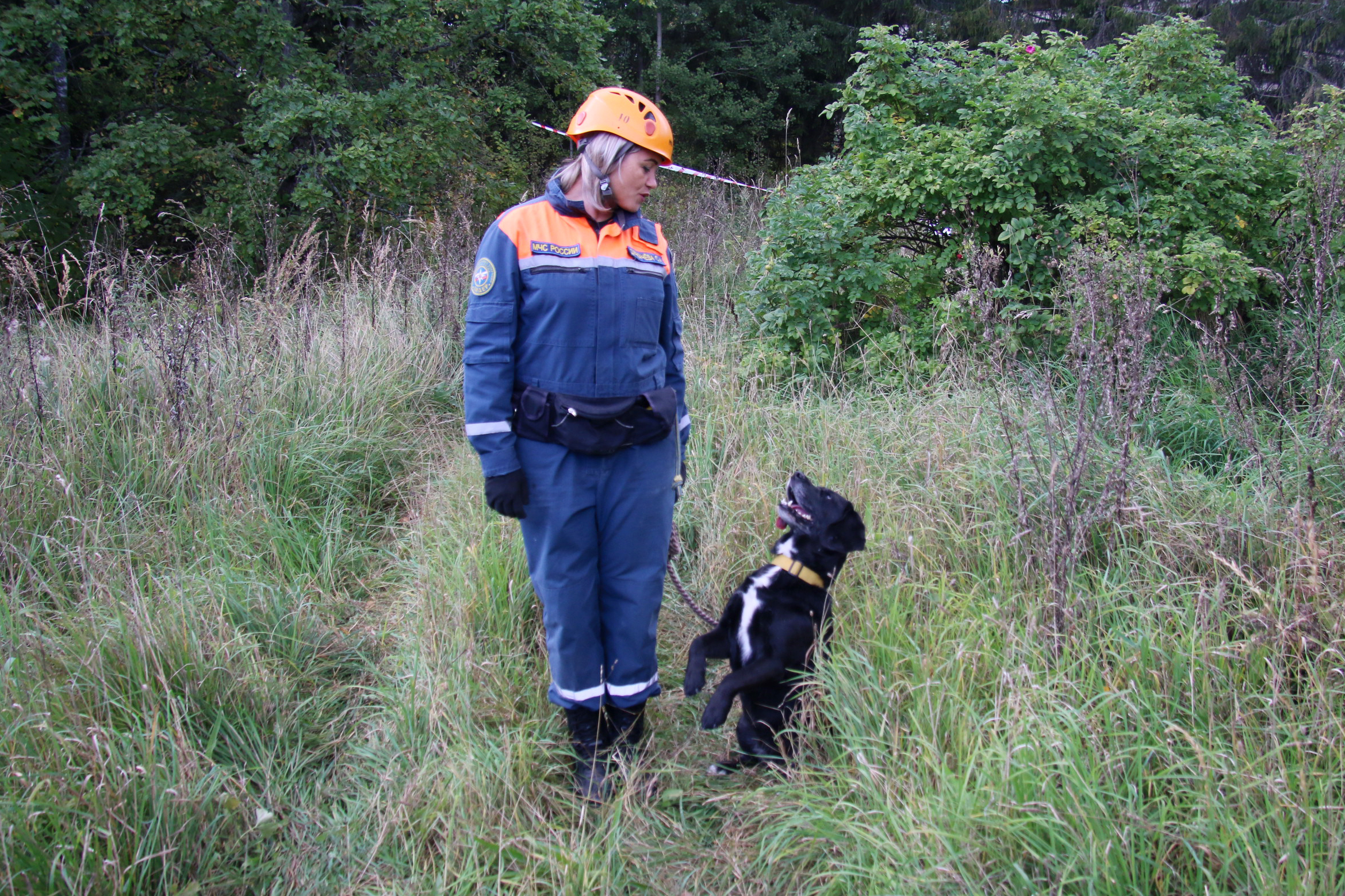 На фото: Светлана Деркачева из центра «Лидер» МЧС России и собака Ада