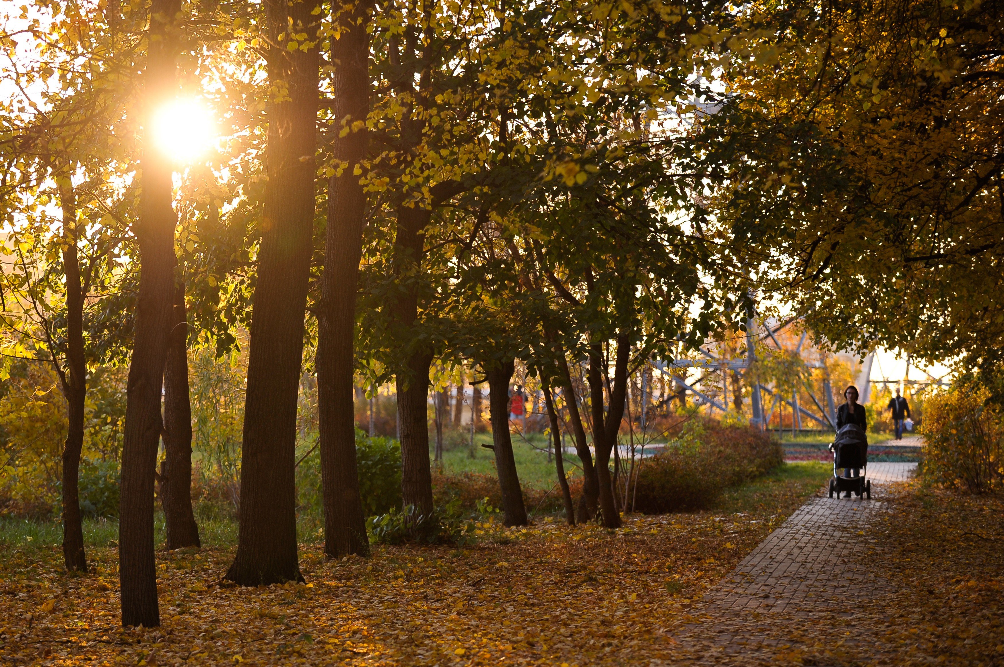 Теплая и сухая погода порадует москвичей в выходные