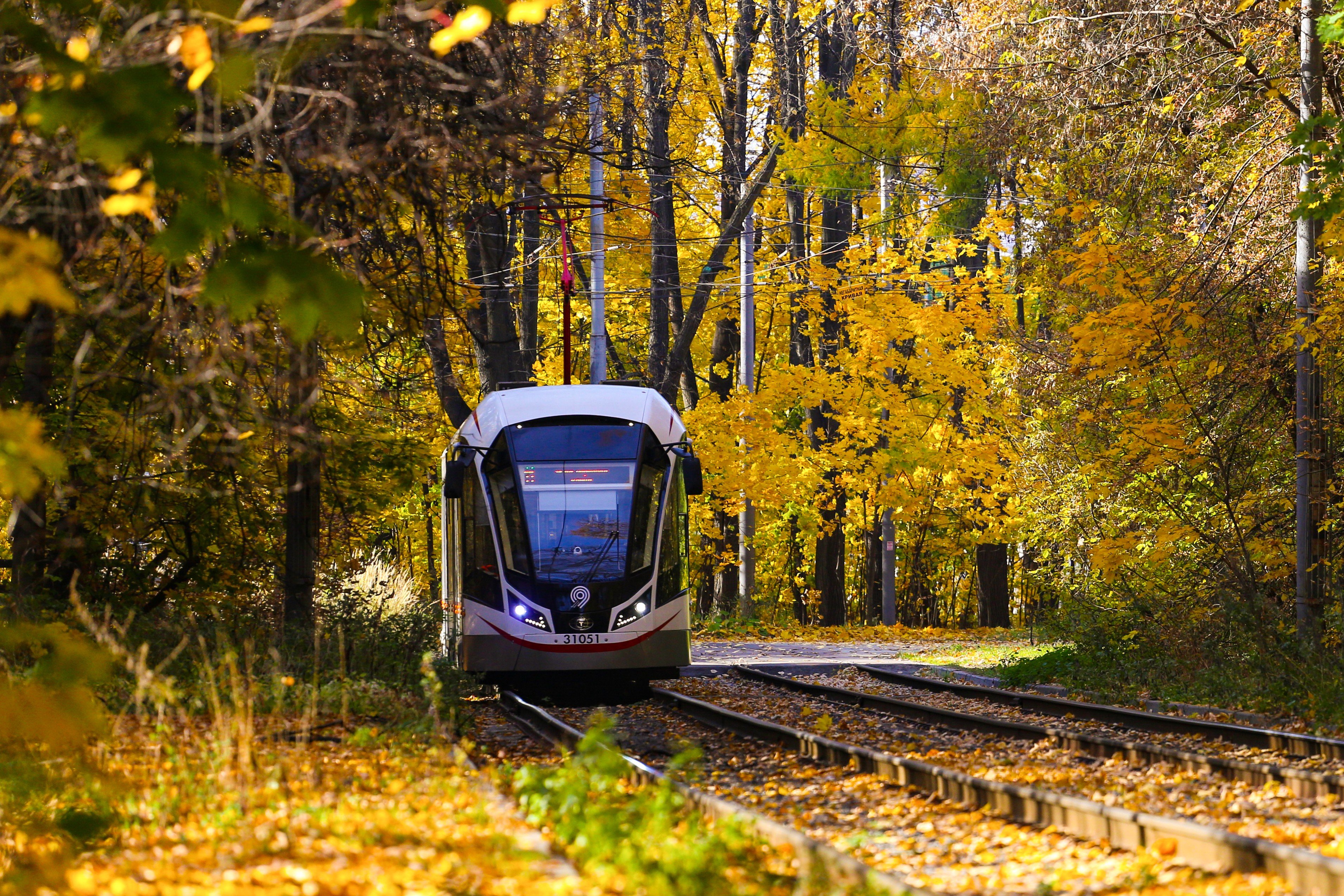 Движение трамваев между «Пролетарской» и «Дубровкой» приостановят на два дня