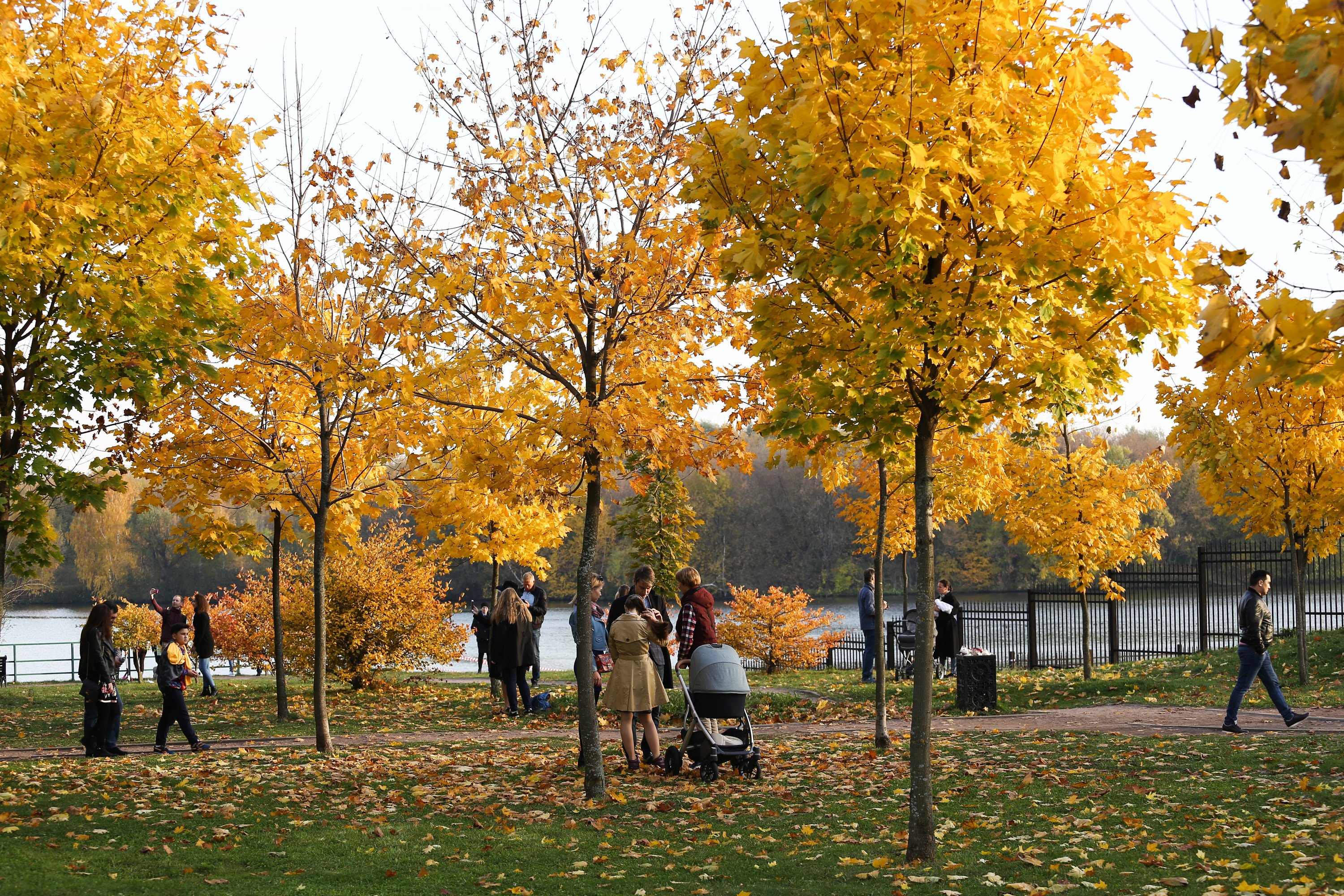 Два сквера благоустроили на Пятницком шоссе
