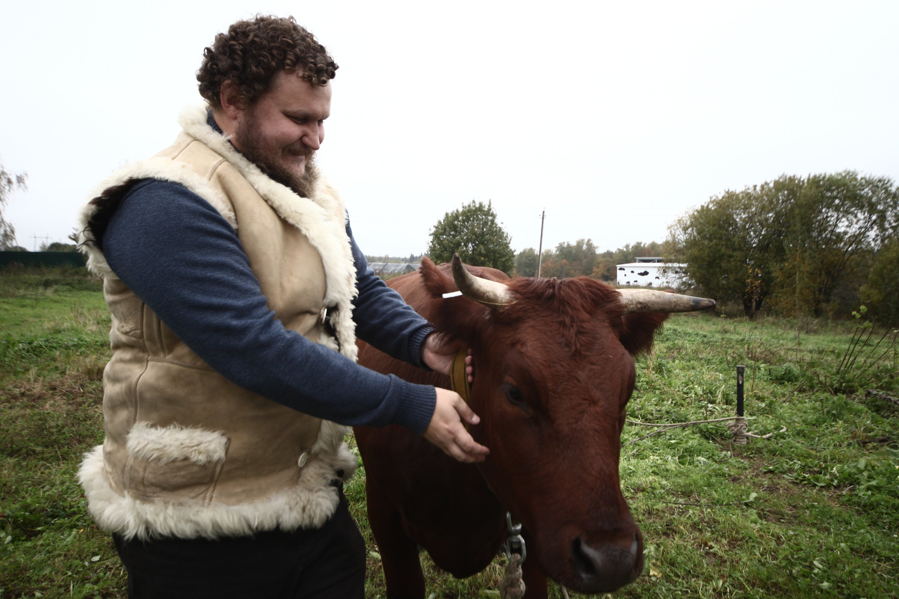 Денежные средства получат начинающие фермеры, создатели семейных животноводческих ферм, производители сыров