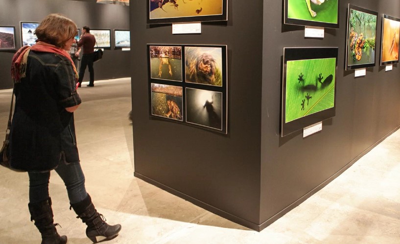 Москвичи смогут посетить фестиваль «Золотая черепаха» бесплатно 