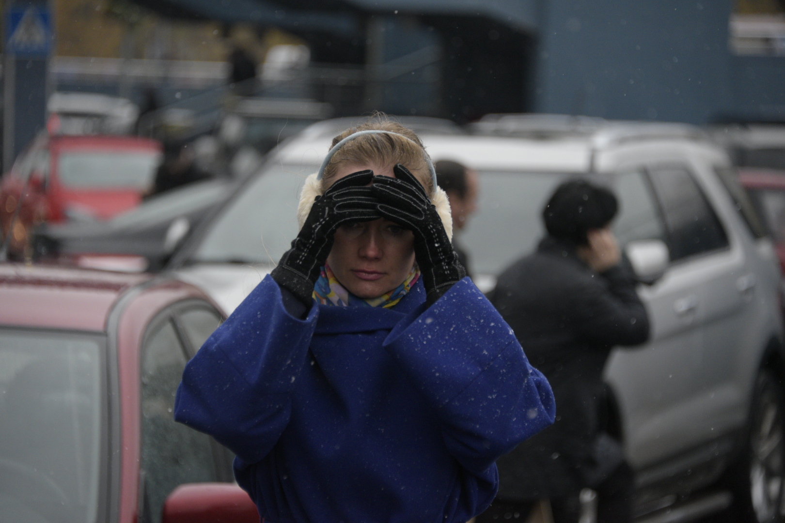 Роман Вильфанд сообщил, когда в столице выпадет мокрый снег