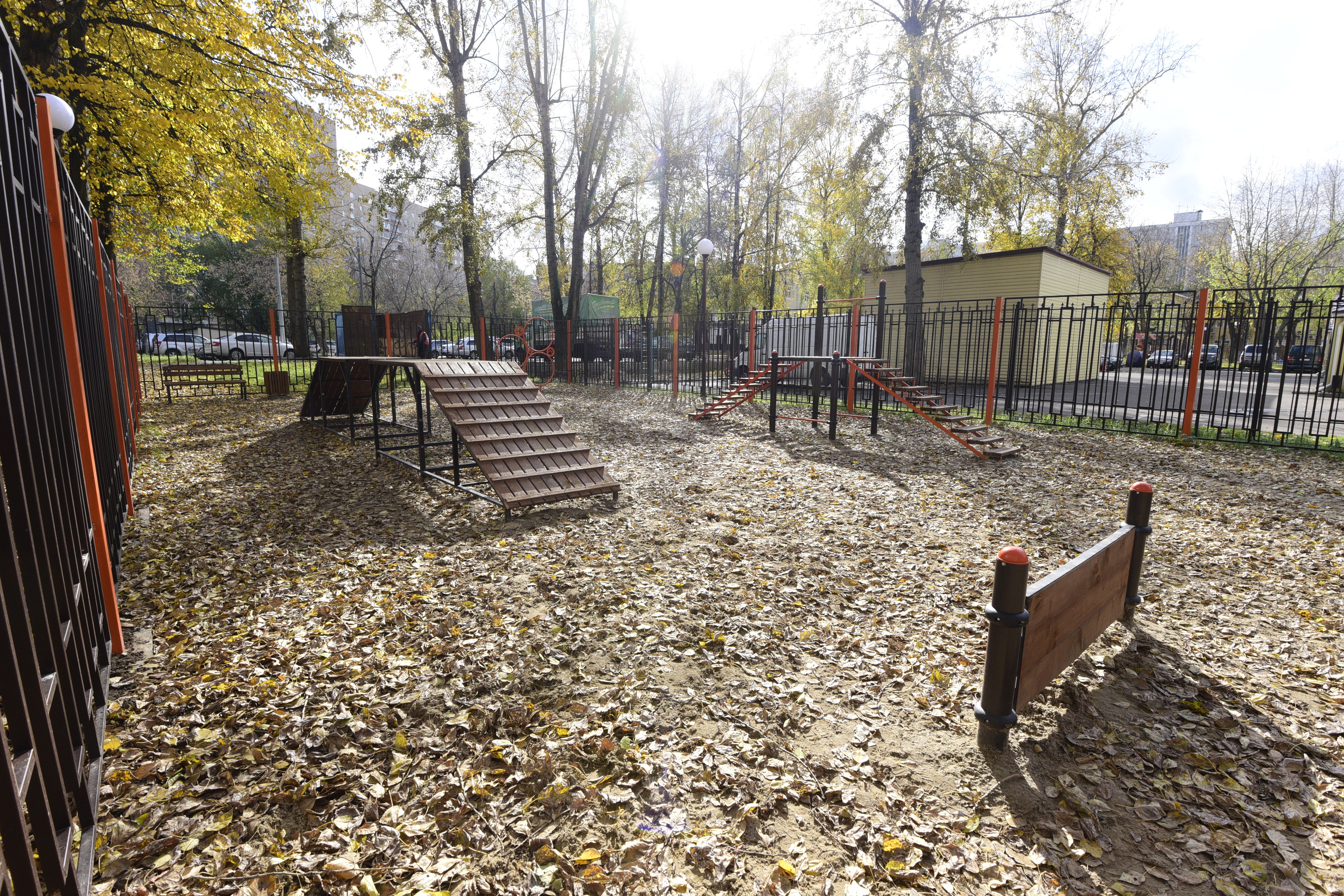 Стартовал сбор предложений по совершенствованию парков Москвы