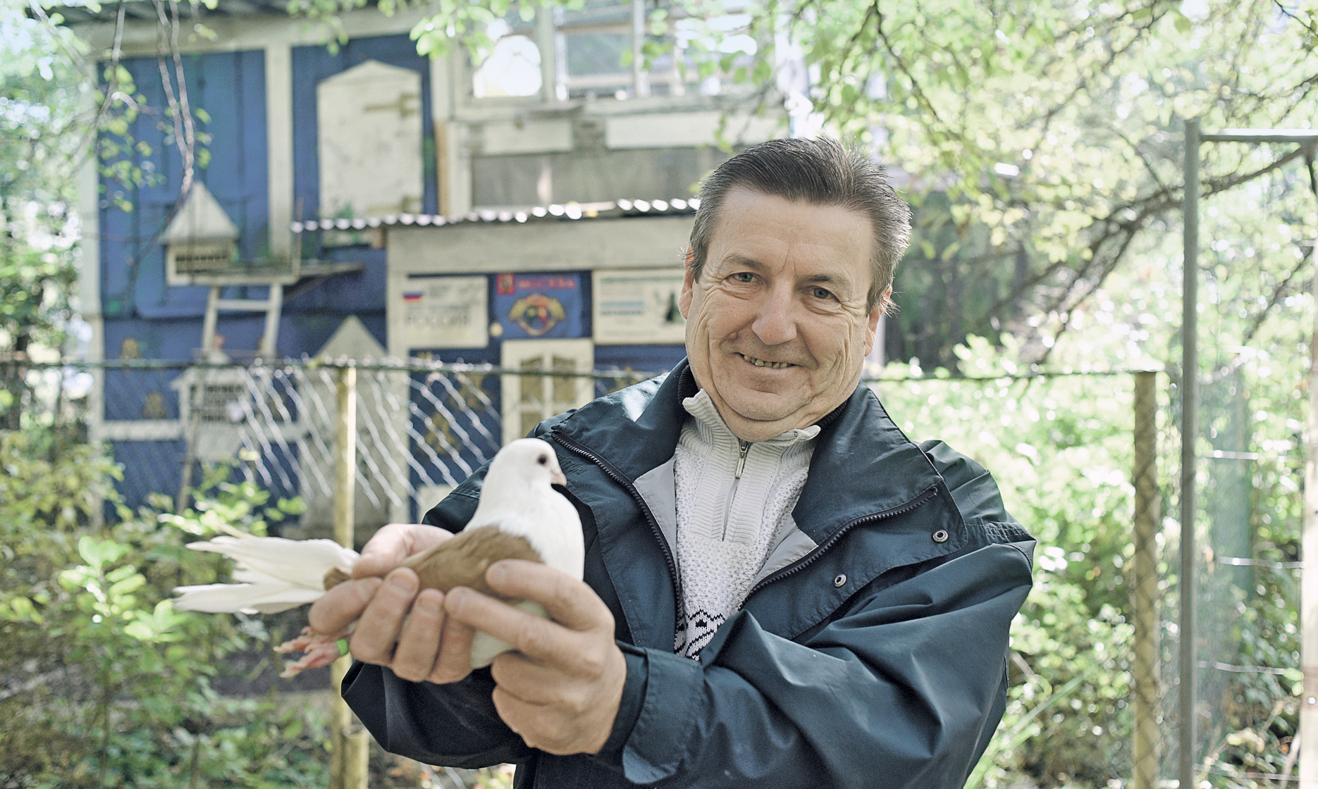 Крестовые голуби