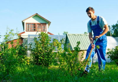 Москва с начала года сдала в аренду горожанам и предпринимателям 109 земельных участков