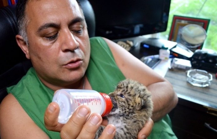 Карен Даллакян отметил, что каждое животное содержится в отдельном вольере