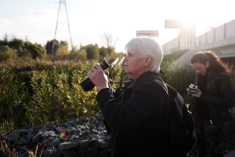 Более 44 видов насчитали москвичи во время наблюдения за птицами
