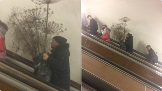 Мужчина с букетом борщевика в Московском метро удивил Сеть