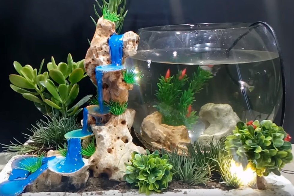 Москвичам рекомендовали для борьбы со стрессом заводить рыбок и муравьев