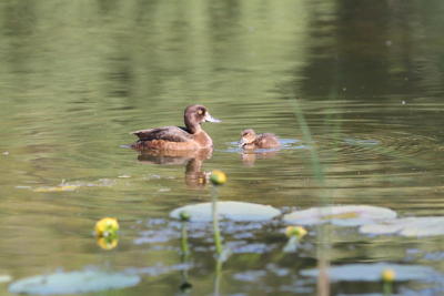 Продвижение зеленой экономики и строительства обсудят на саммите мэров