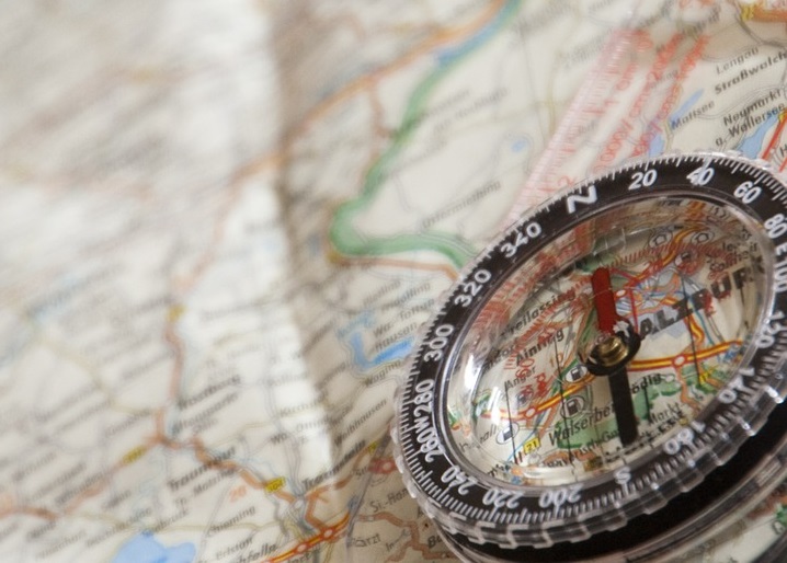 На старт по ориентированию вышли 230 человек.