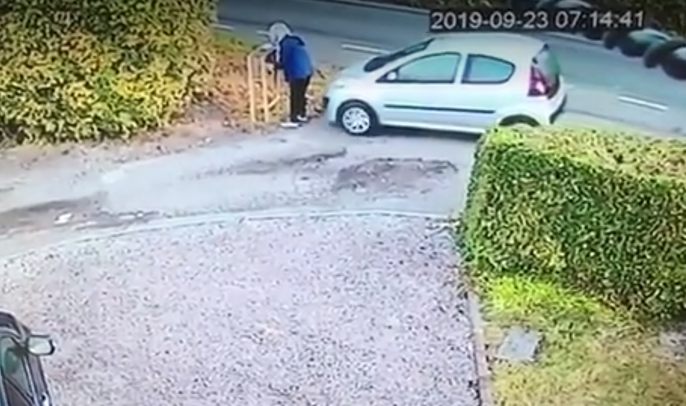 Автомобиль наехал на свою владелицу из-за забытого ручного тормоза