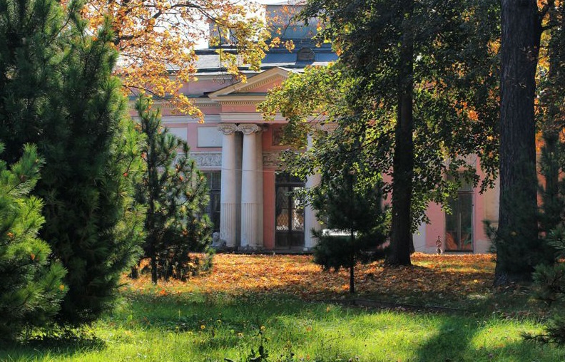 Более 17 тысяч музейных экспонатов «Останкино» переместят в хранилище усадьбы 