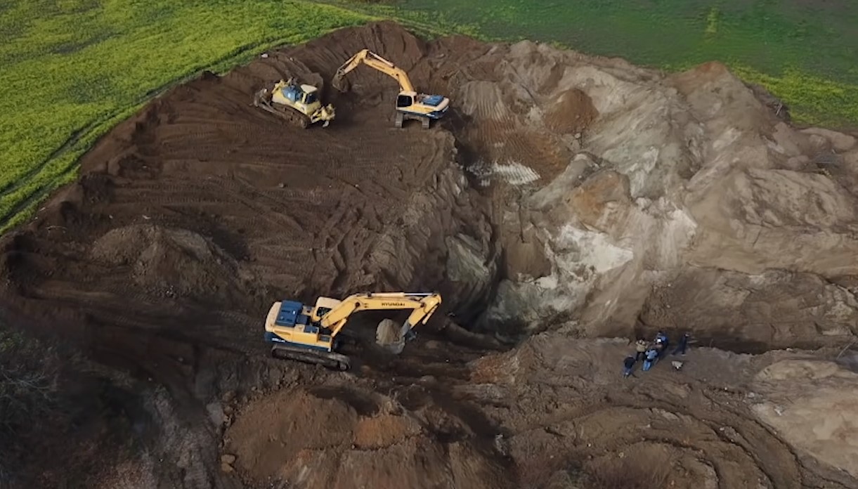 Тела были найдены на территории вблизи одного из дачных массивов Раменского района