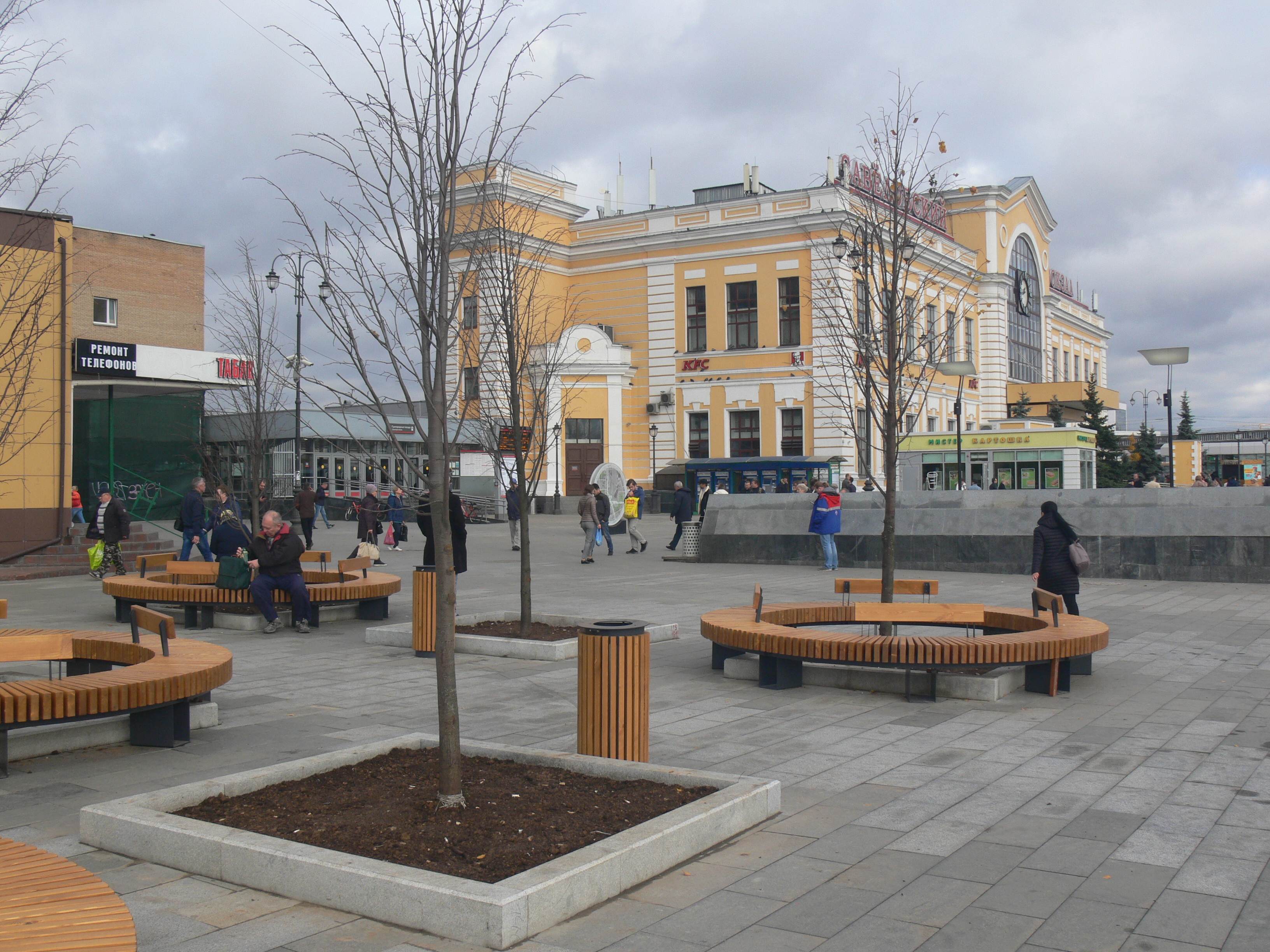 Большую часть деревьев запланировано высадить возле метро в ноябре и в начале зимы