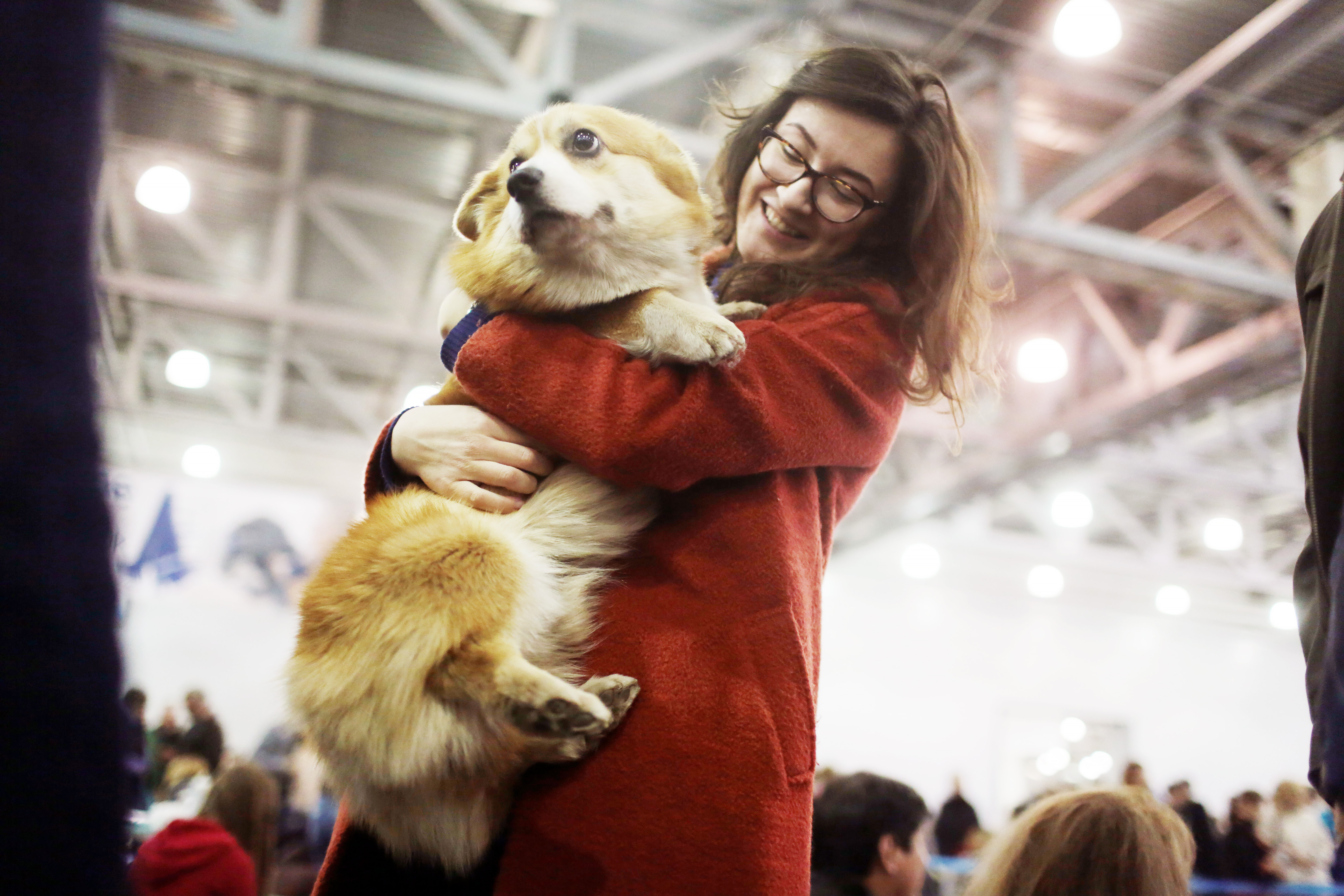 Международный фестиваль собак пройдет в столице 