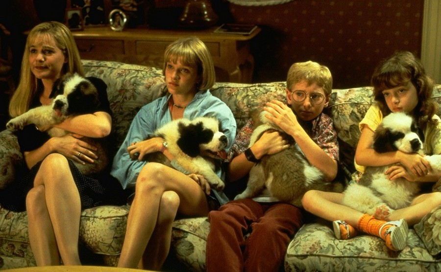 Ветеринары объяснили москвичам, как отучить питомца грызть мебель