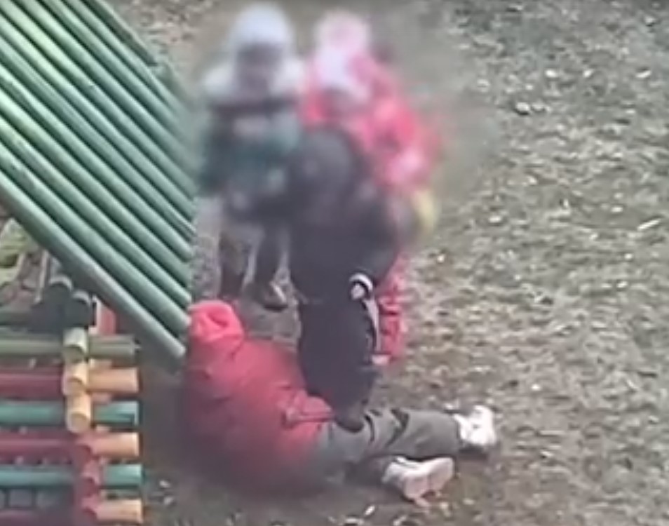 Омбудсмен назвал виновных в избиении девочки в детсаду Ярославля