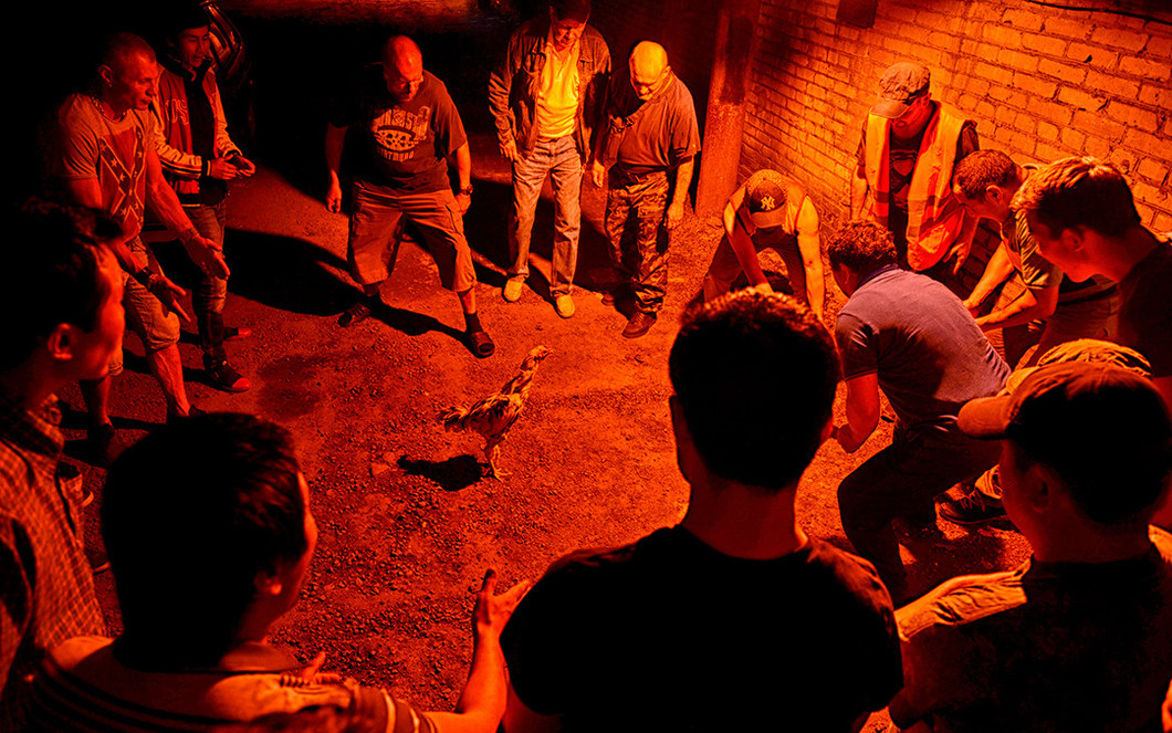 Несмотря на завлекательный синопсис, сопровождающий фильм, «Большая поэзия» — во-первых, не о поэзии, а во-вторых — это вовсе не комедия