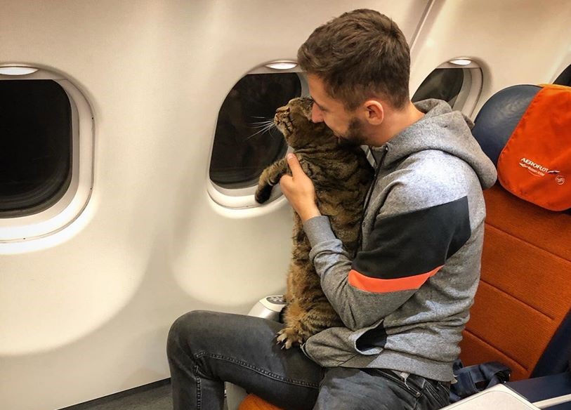 Мужчина не попал на рейс из Москвы из-за слишком толстого кота