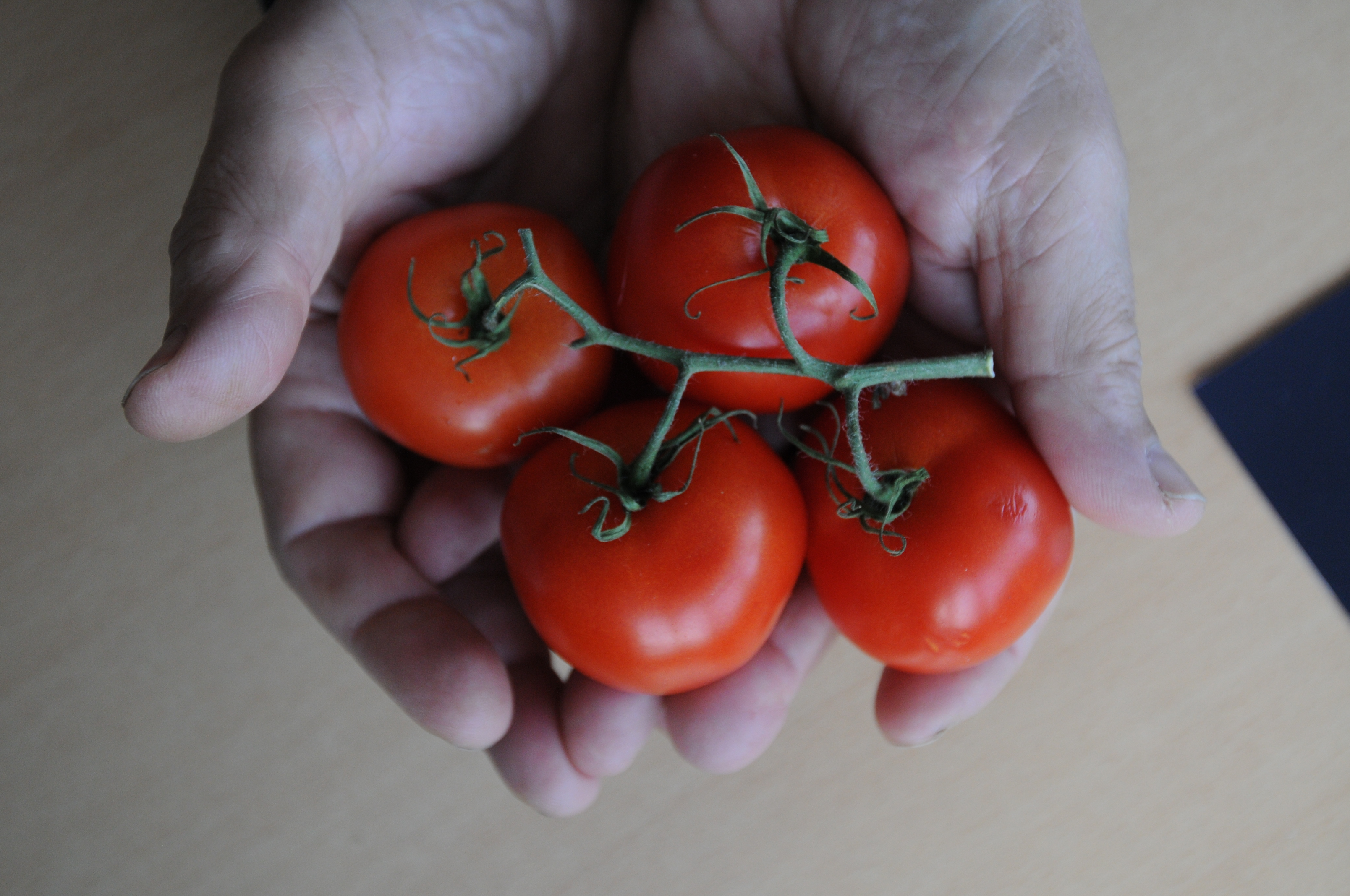 Цены на овощи в России снизились за прошлую неделю