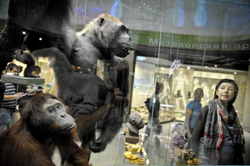 Выставка Дарвиновского музея пройдет в павильоне МЦД