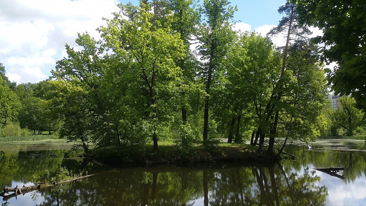 Территорию усадьбы, где снимали «Семнадцать мгновений весны», благоустроят