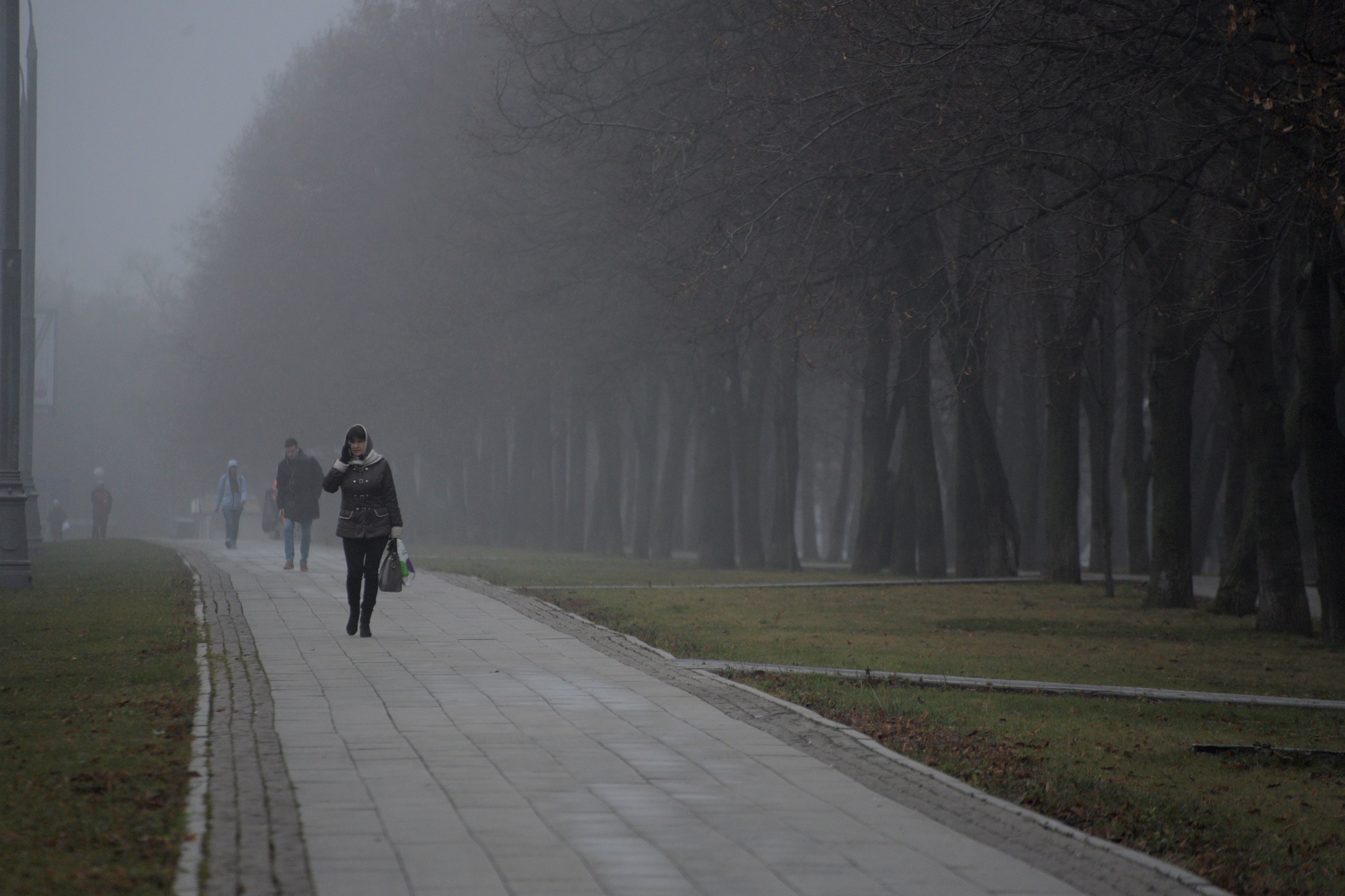 «Желтый» уровень опасности объявили в Подмосковье в ночь на 26 октября