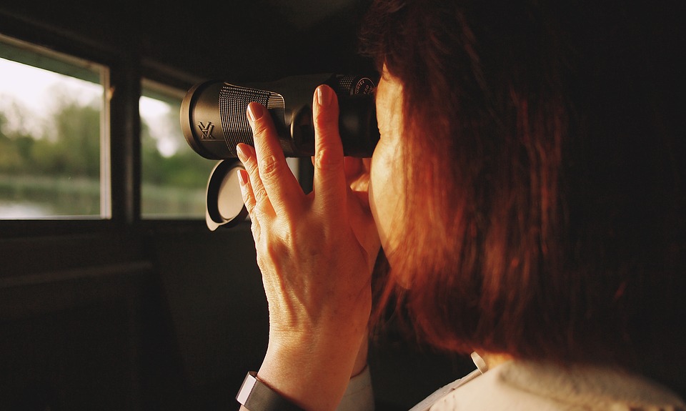 бинокль, слежка, наблюдение