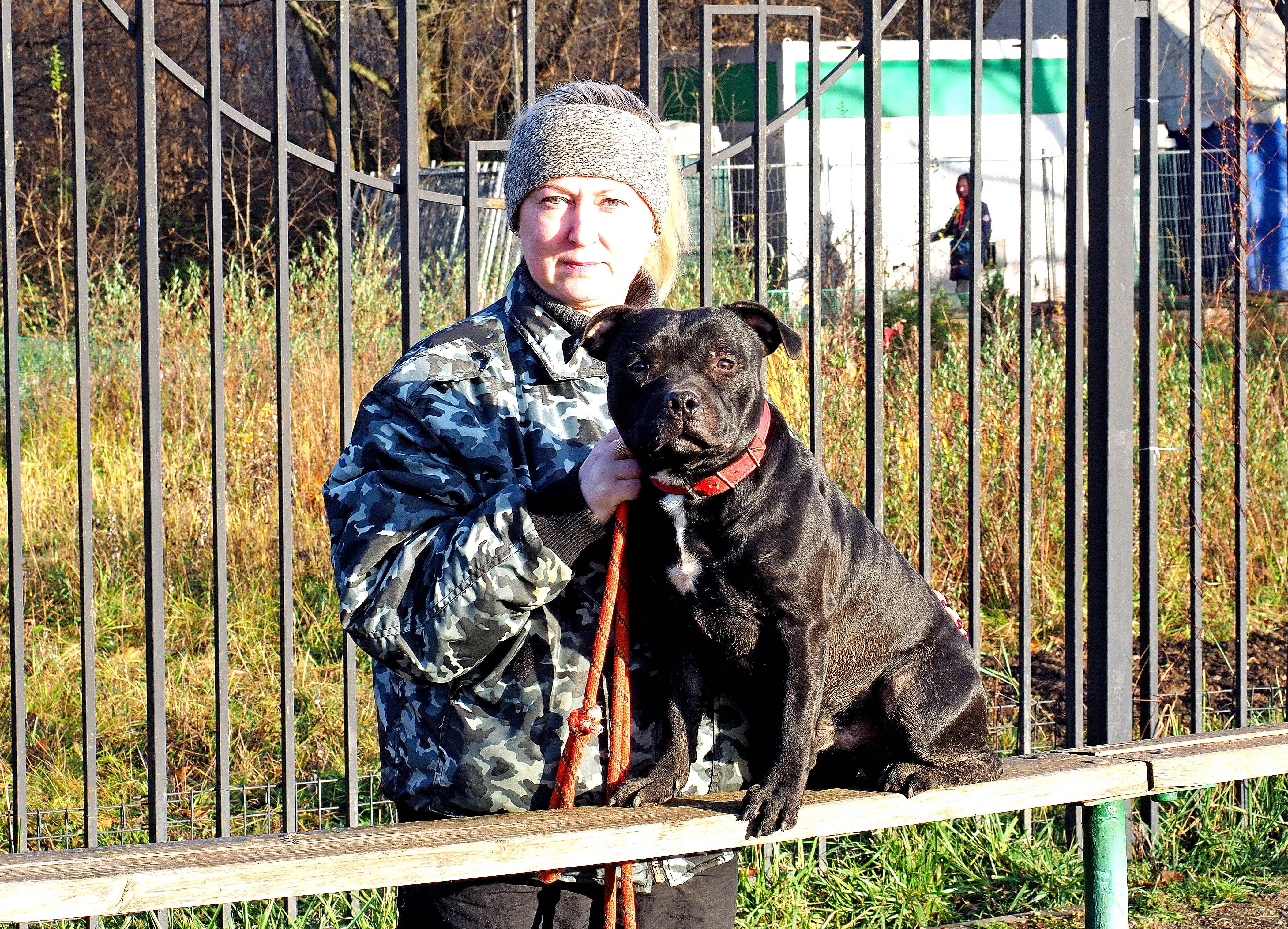 Москвичка Наталья Базаркина со своим питомцем — стаффордширским бультерьером по кличке Нельсон — на собачьей площадке в парке «Северное Тушино»