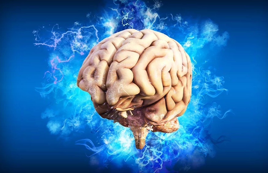 Нейробиологи проследили за работой мозга людей с одним полушарием