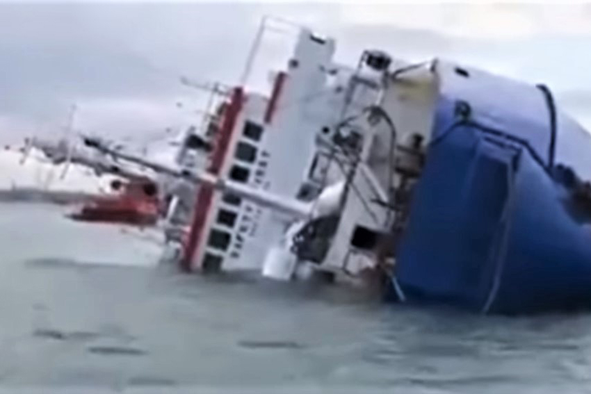 Порядка 14 тысяч овец с румынского корабля утонули в Черном море