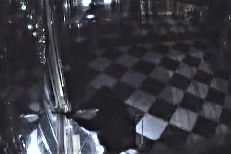 Ограбление сокровищницы в Дрездене попало на видео