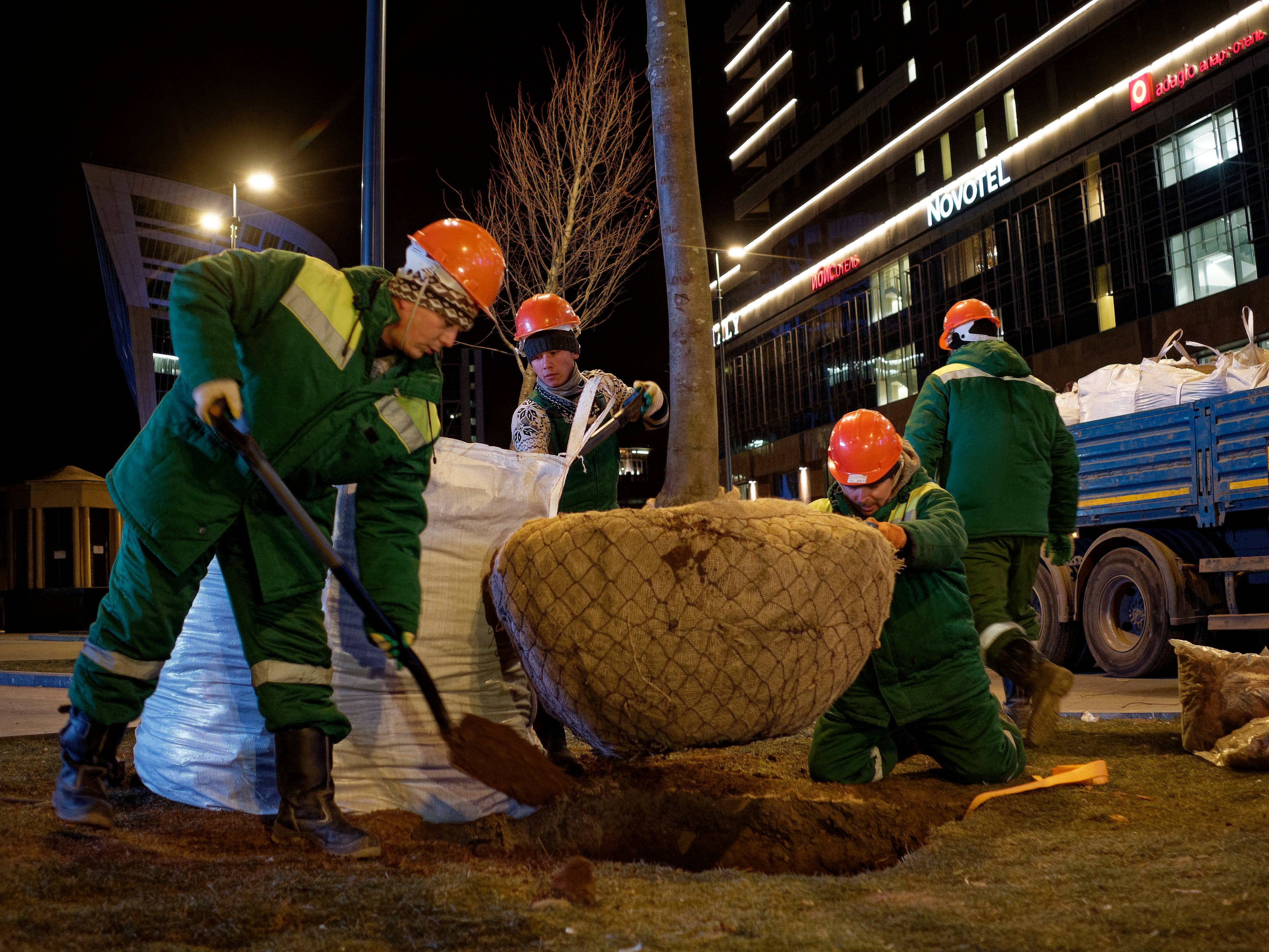 Более 6,5 миллиона деревьев и кустарников высадили в Москве за последние десять лет