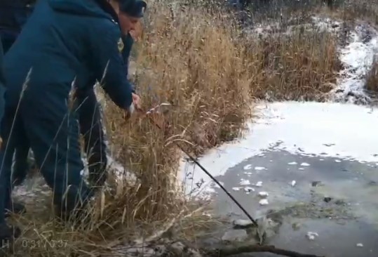 В настоящее время правоохранители выясняют обстоятельства исчезновения ребенка