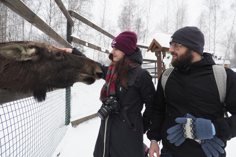 Парк «Лосиный остров» подготовил для горожан новогодний конкурс