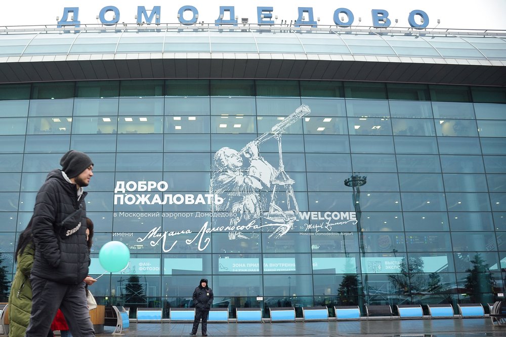 СМИ: Лиса нарушила график прилетов в Домодедове