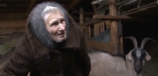 Жители Златоуста пожаловались на бабушку-соседку, живущую с козами