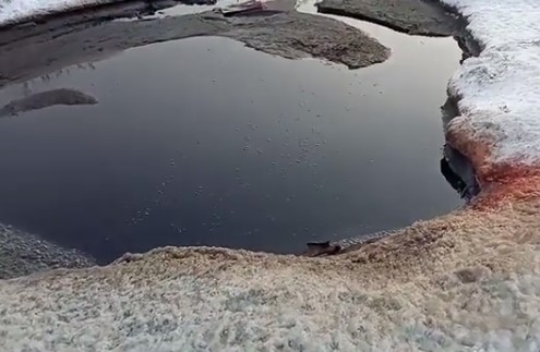 Снимавший находку очевидец заявил, что на месте стоит «непередаваемый запах»