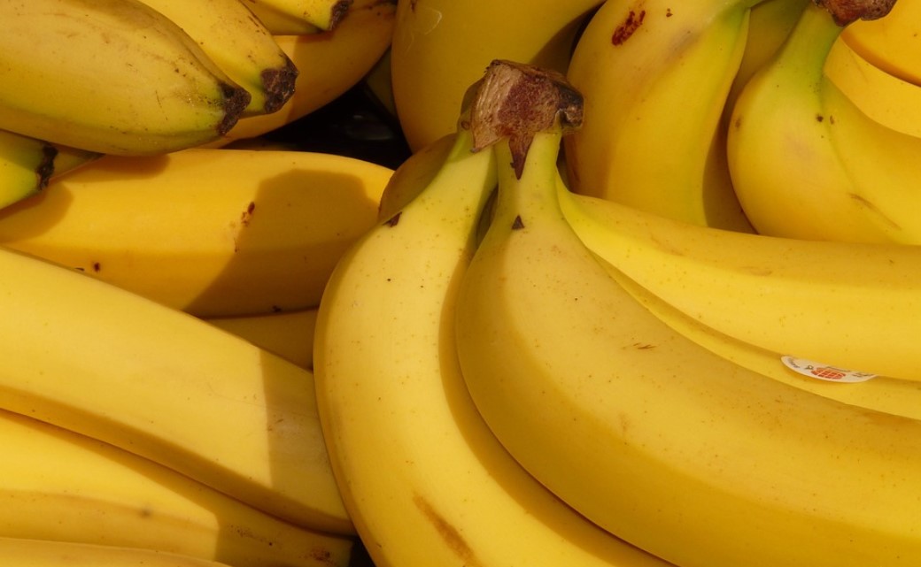 Художник съел экспонат выставки за 120 тысяч долларов