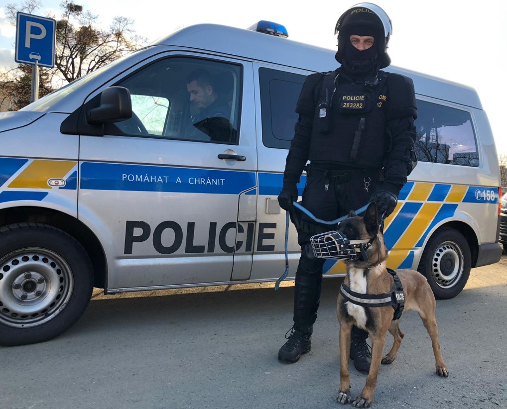 Число жертв стрельбы в чешской больнице выросло до 6